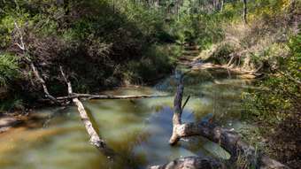 Farm Property for Sale - 151 Cameron Road Taromeo QLD 4314