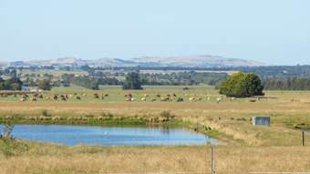 Farm Property for Sale - 80 McNabbs Road Irrewillipe East VIC 3249