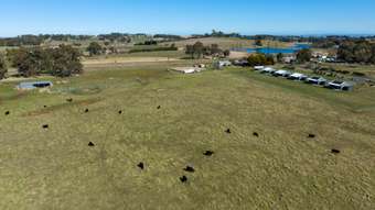 Farm Property for Sale - 760 Tallwood Road Orange NSW 2800