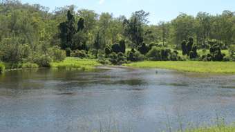 Farm Property for Sale -  Rocky River Road Rocky River NSW 2372