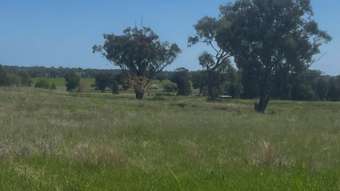 Farm Property for Sale - 48 Furners Lane, Trewilga NSW 2869