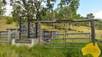 Farm Property for Sale - Wengenville QLD 4615