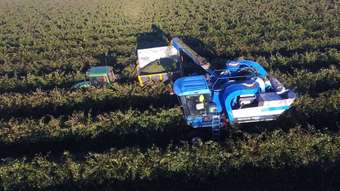 Farm Property for Sale - 1 Bringan Road Whitton NSW 2705