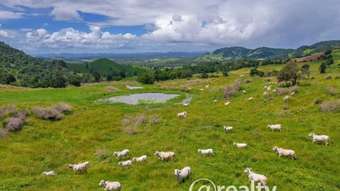 Farm Property for Sale - 540 Calico Creek Road Calico Creek QLD 4570