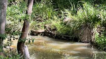 Farm Property for Sale - Moolboolaman QLD 4671