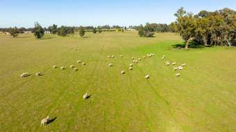 Farm Property for Sale - 977 Back Barooga Road Boomanoomana NSW 2712