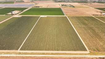 Farm Property for Sale - 229 Savage Road Bilbul NSW 2680