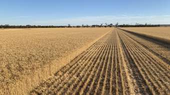 Farm Property for Sale - . &amp;apos;Bingarra&amp;apos; Beacon WA 6472