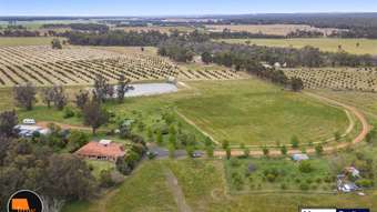 Farm Property for Sale - 1012 WELD ROAD Capel River WA 6271