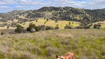 Farm Property for Sale - Lot 3 Tarrants Gap Road Wyangala NSW 2808