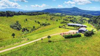 Farm Property for Sale - 1288 Beatrice Way Millaa Millaa QLD 4886