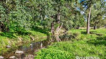 Farm Property for Sale - 318 Scone Road Gloucester NSW 2422