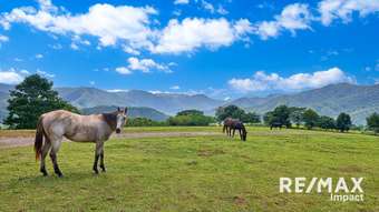 Farm Property for Sale - 332 Goldsborough Road Goldsborough QLD 4865