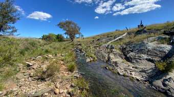 Farm Property for Sale -  Campbells Creek Road Mudgee NSW 2850