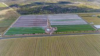 Farm Property for Sale - 101 Newlands Road North Gregory QLD 4660