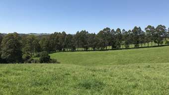 Farm Property for Sale - 383 Emersons Road Dorrigo NSW 2453
