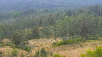 Farm Property for Sale -  Doyles River Road Debenham NSW 2446