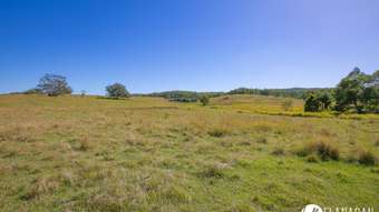 Farm Property for Sale - 114 Hughes Access Collombatti NSW 2440