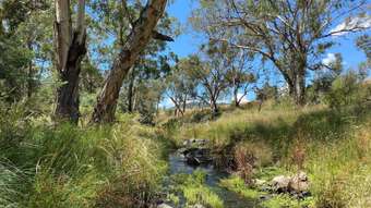 Farm Property for Sale -  Campbells Creek Road Mudgee NSW 2850