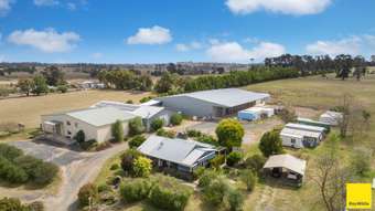 Farm Property for Sale - 296 Noalimba Avenue Kentucky NSW 2354