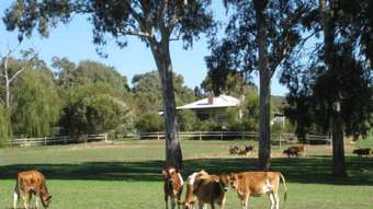 Farm Property for Sale - 50B Decaux Road Hope Forest SA 5172