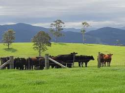 1420 Ebsworth Road Glen Martin NSW 2321