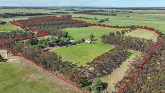 Farm Property for Sale - 1 Oman Street Lismore VIC 3324