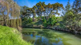 Farm Property for Sale - 85 Freestone Creek Road Freestone QLD 4370