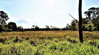 Farm Property for Sale - 1560 Gin Gin Road Sharon QLD 4670