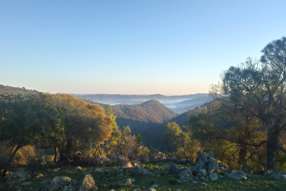  Lot 52 Highland Home Road Mudgee NSW 2850