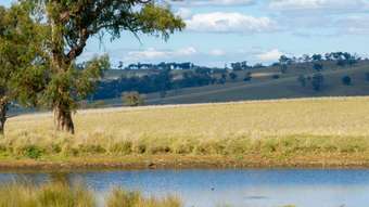 Farm Property for Sale - Part 29 Byng Road Guyong NSW 2798