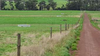 Farm Property for Sale - 251 Cooriemungle Road Cooriemungle VIC 3268