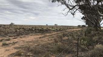 Farm Property for Sale - Section 23 Quarry Road Black Hill SA 5353
