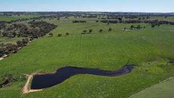 Farm Property for Sale - 1482 Back Creek Road Young NSW 2594