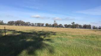 Farm Property for Sale - 1238 Church Road Youanmite VIC 3646
