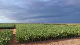 Farm Property for Sale - 121 Mcglades Road North Plantations WA 6701