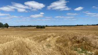 Farm Property for Sale - 494 Ozenkadnook Mortat Road Ozenkadnook VIC 3413