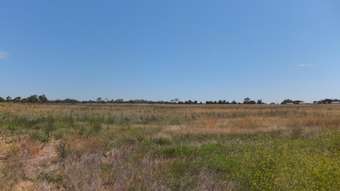 Farm Property for Sale - Section 54 Finniss Milang Road Finniss SA 5255