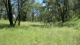 Farm Property for Sale - 1021D Long Gully Road Drake NSW 2469