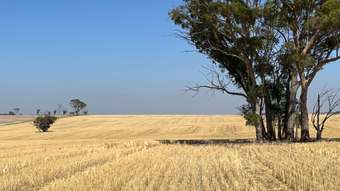 Farm Property for Sale - . &amp;apos;Palmerston South&amp;apos; South Tammin WA 6409