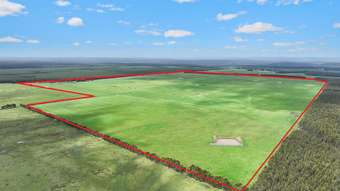 Farm Property for Sale - 130, 200 & Tin Dish Road Irrewillipe VIC 3249