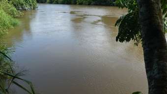 Farm Property for Sale - Lower Cowley QLD 4871