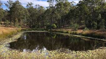 Farm Property for Sale - L72 Bruce Highway Monduran QLD 4671