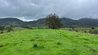 Farm Property for Sale -  Leachs Road Strathcedar NSW 2429