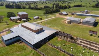 Farm Property for Sale - 97 Yarras Lane Yarras NSW 2795