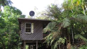 Farm Property for Sale - 707 Bellingen Road Missabotti NSW 2449