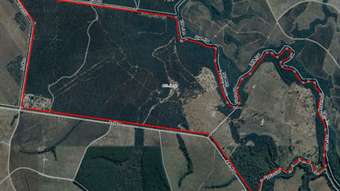 Farm Property for Sale - 20 Davis Road Bauple Forest QLD 4650