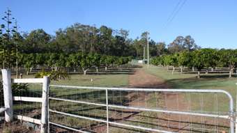 Farm Property for Sale - Delan QLD 4671