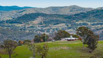 Farm Property for Sale - 505 Wangalo Road Peelwood NSW 2583