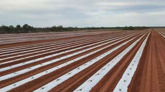 Farm Property for Sale - 296 Great Northern Highway Broome WA 6725